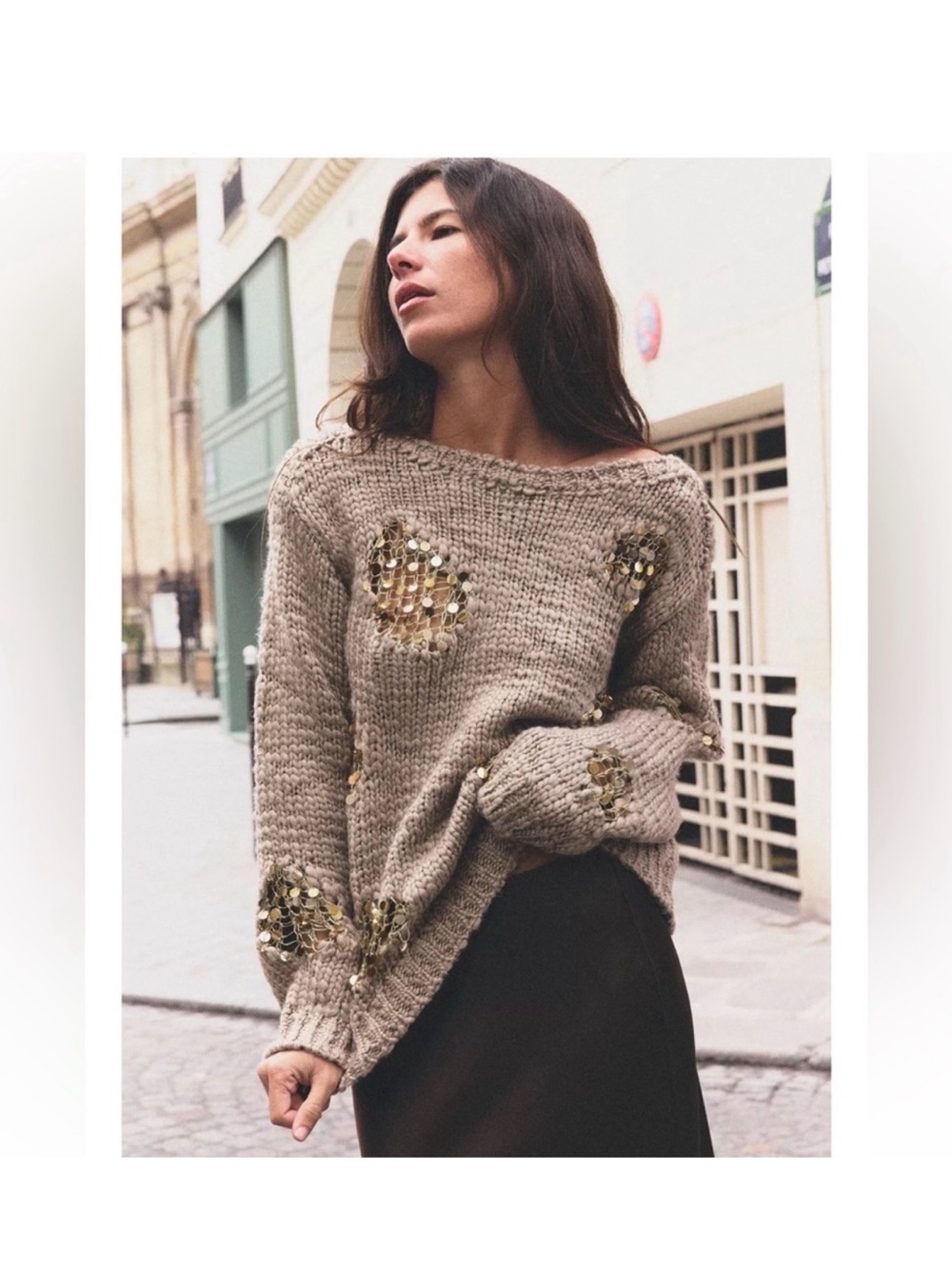 *NWT* Zara Taupe Knit Sweater with Gold Sequin Detail - Sold Out!